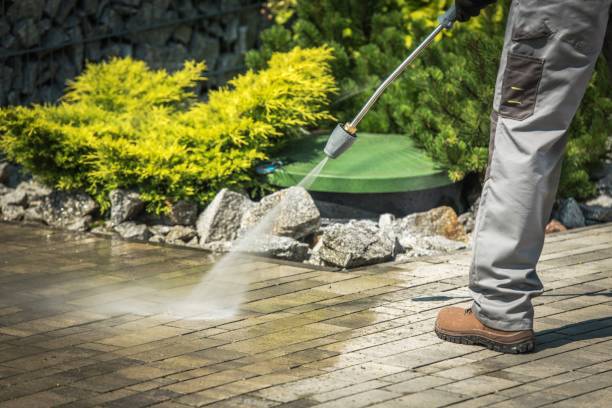 Best Solar Panel Cleaning  in Moose Lake, MN