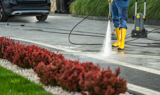 Best House Exterior Washing  in Moose Lake, MN